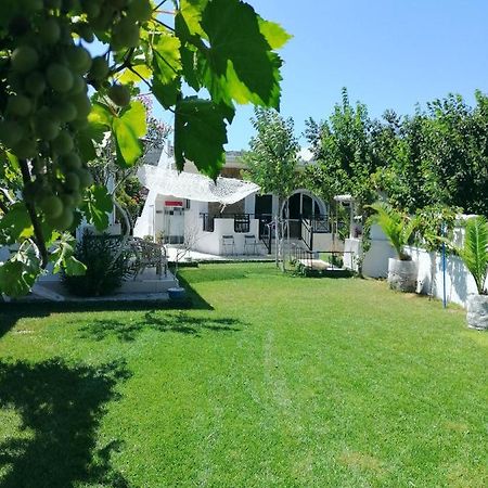 Villa Dina ハニア エクステリア 写真